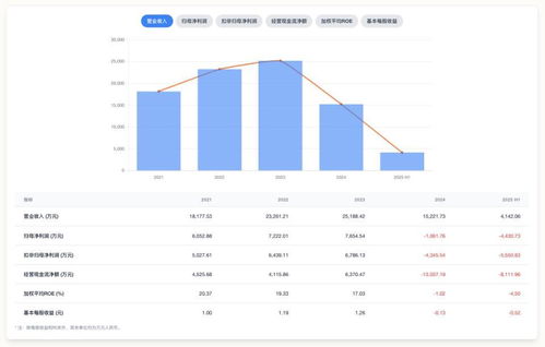 中创股份上市前后业绩大反转 高增长神话难持续，应用软件服务行业隐忧何解？